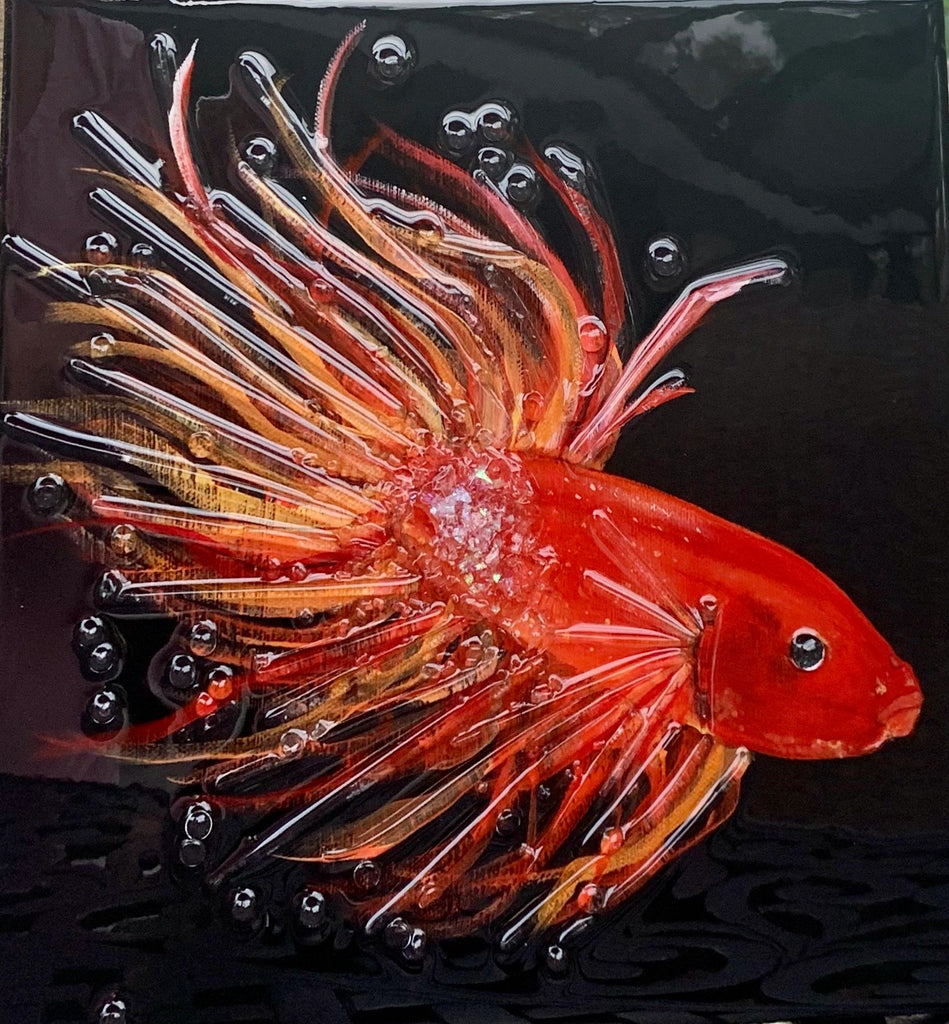 Beta Fish